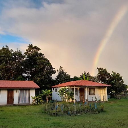 Cabanas Isla De Pascua Ханга-Роа Экстерьер фото
