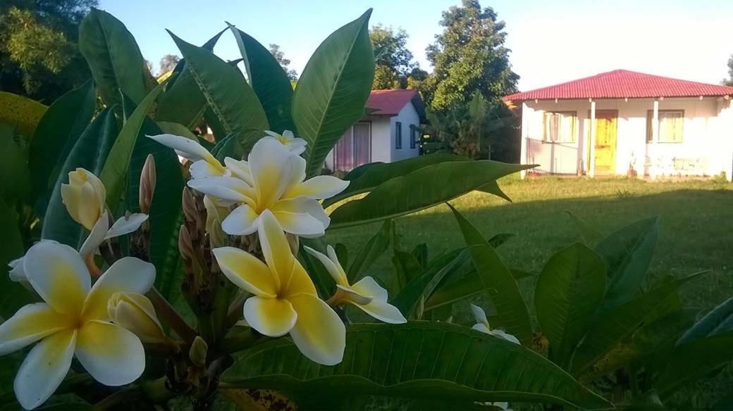 Cabanas Isla De Pascua Ханга-Роа Экстерьер фото